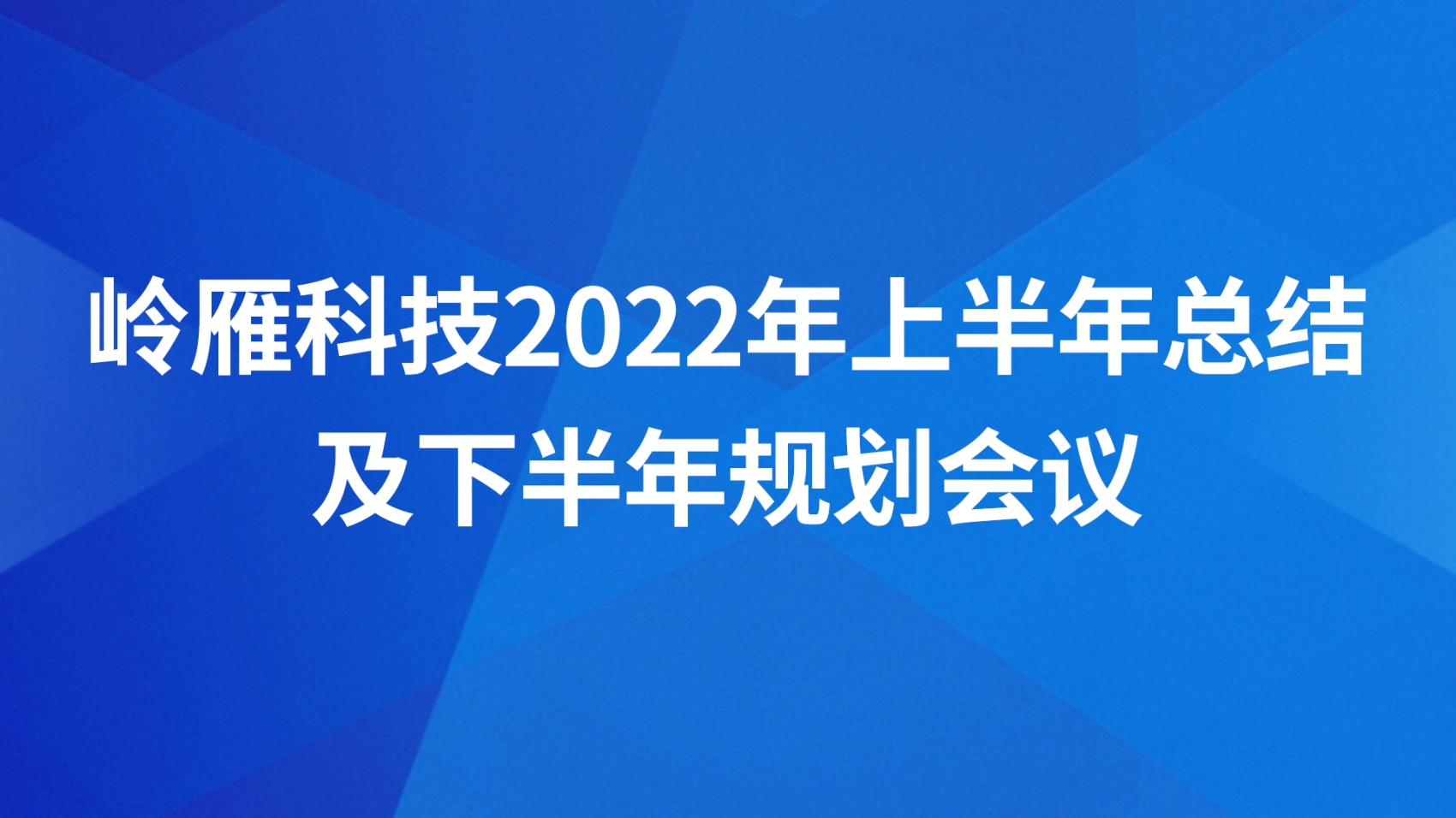 岭雁科技2022年上半年总结及下半年规划会议