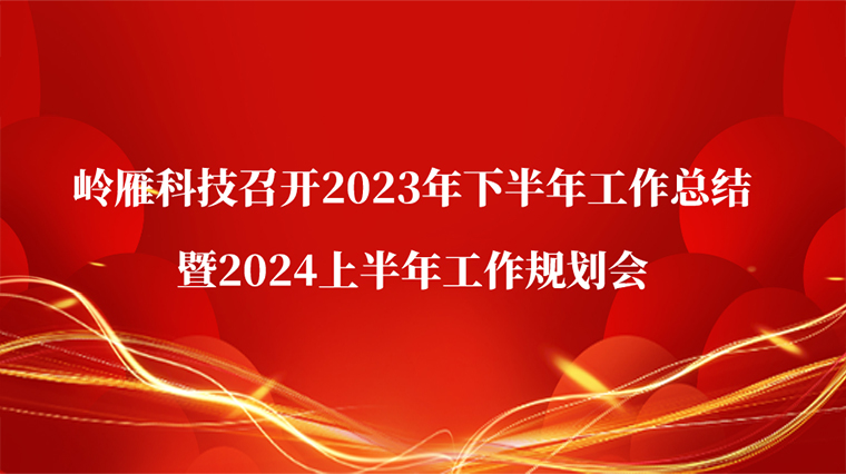 凝心聚力再起航｜岭雁科技召开2023年下半年工作总结暨2024上半年工作规划会